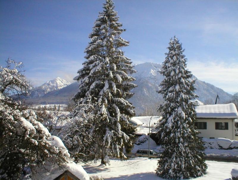 Gaestehaus Berger Inkl. Chiemgaukarte Ruhpolding Ngoại thất bức ảnh